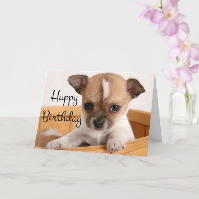 Happy Birthday Chihuahua Puppy Dog Verse Card Zazzle