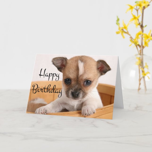 Happy Birthday Chihuahua Puppy Dog Verse Card Zazzle