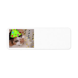 Happy Birthday Child Party Calico Cat
