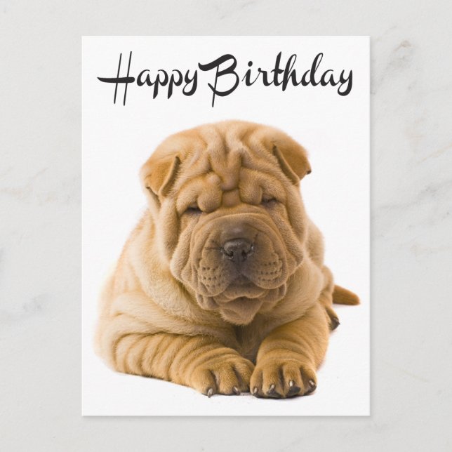Happy Birthday Chinese Shar Pei Puppy Dog  Card (Front)