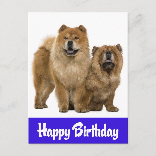 Happy Birthday Chow Chow Puppy Dog Postcard (Front)