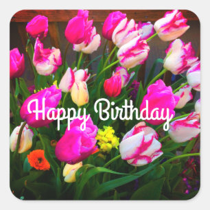 Happy Birthday Christmas Dream and Affaire #1-1 Square Sticker