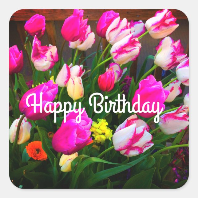 Happy Birthday Christmas Dream and Affaire #1-1 Square Sticker (Front)