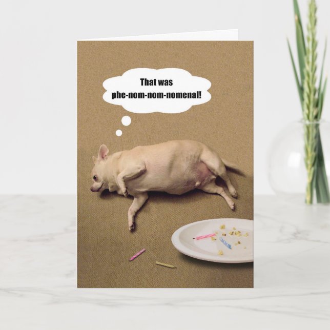 Happy Birthday Chubby Chihuahua Greeting Card (Front)