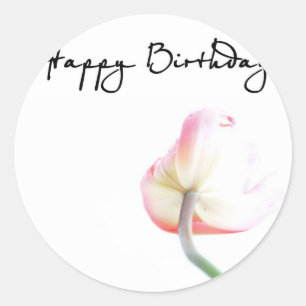 Happy Birthday Classic Round Sticker