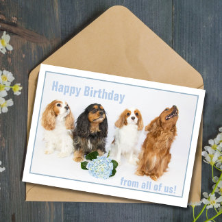 Happy Birthday Co-Worker Cavalier King Charles Dog Card