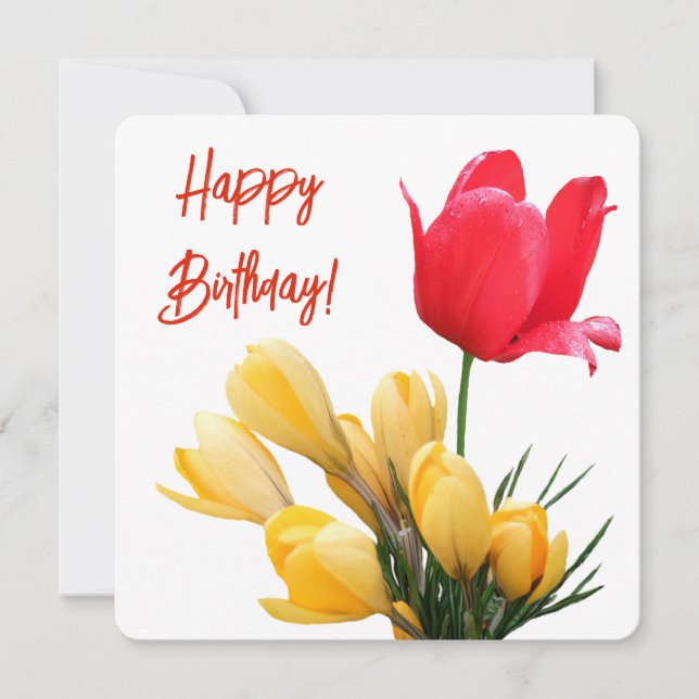 Happy birthday colourful red tulip yellow crocus holiday card (Front)