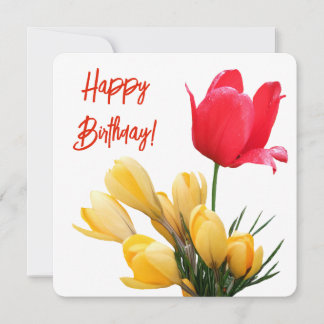 Happy birthday colourful red tulip yellow crocus holiday card