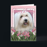 Happy Birthday - Coton de Tulear Card<br><div class="desc">Perfect Birthday Present for the Coton de Tulear dog lover!</div>