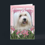 Happy Birthday - Coton de Tulear Card<br><div class="desc">Perfect Birthday Present for the Coton de Tulear dog lover!</div>