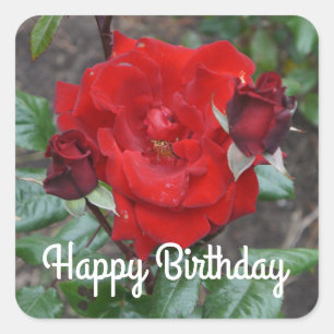 Happy Birthday Crimson Bouquet Rose #1 Stickers
