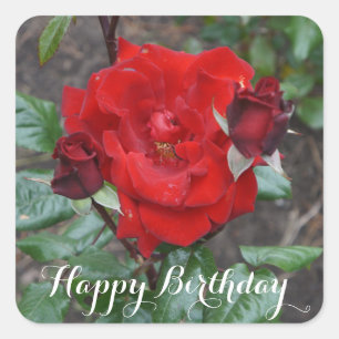 Happy Birthday Crimson Bouquet Rose #1 Stickers