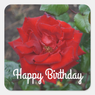 Happy Birthday Crimson Bouquet Rose #3 Stickers