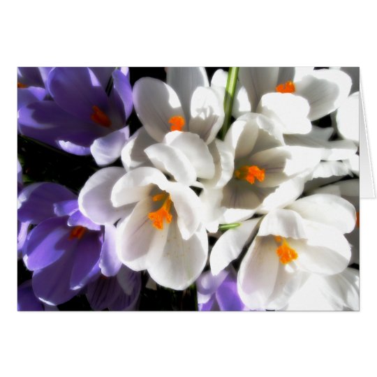 Happy Birthday-Crocus Card