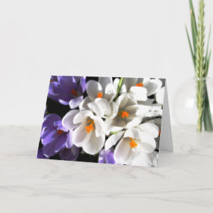 Happy Birthday-Crocus Card