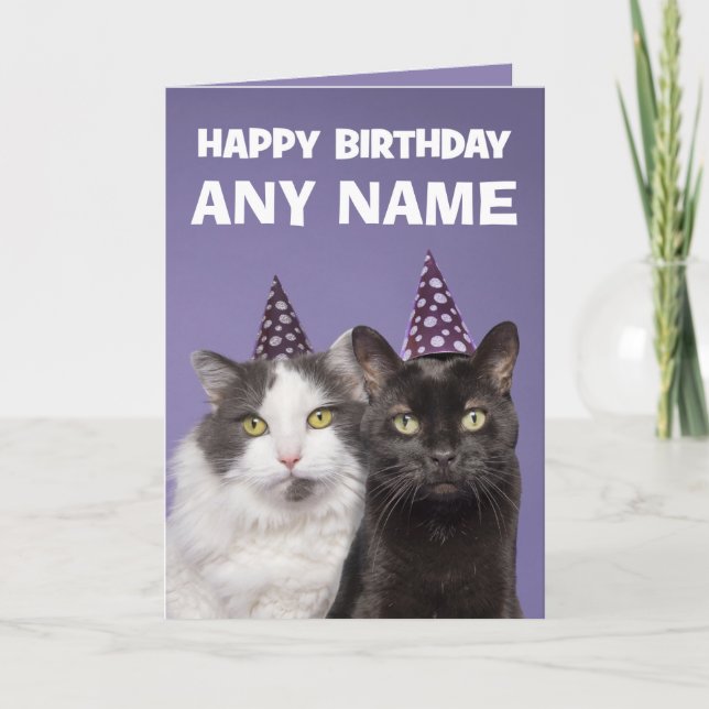 Happy Birthday Custom Name Funny Cats in Hats Holiday Card (Front)
