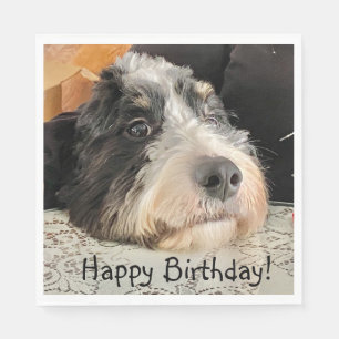 Happy Birthday Cute Bernedoodle Napkin