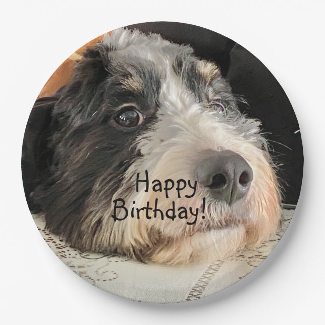 Happy Birthday Cute Bernedoodle Paper Plate (Front)