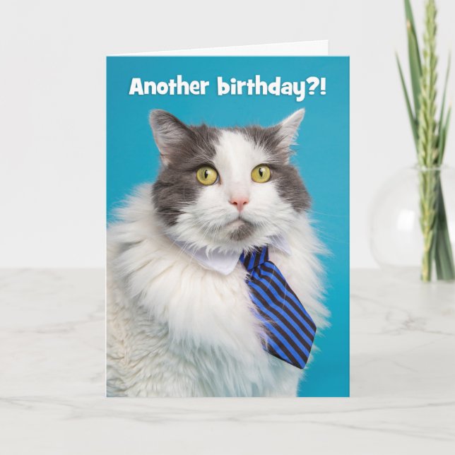 Happy Birthday Cute Can in Tie Holiday Card (Front)