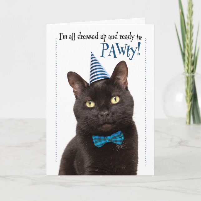 Happy Birthday Cute Cat in Party Hat Humour Holiday Card (Front)