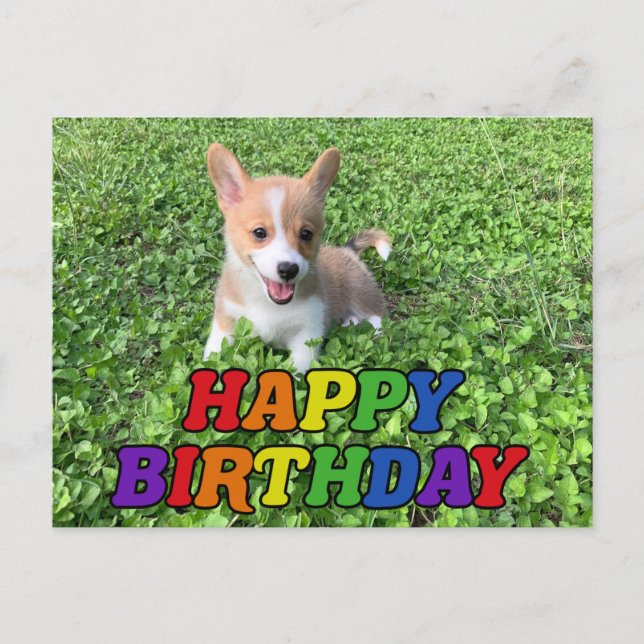 Happy Birthday Cute Corgi Puppy Photo Postcard (Front)