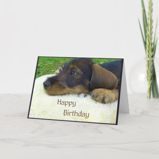 Happy Birthday, cute Dachshund puppy Card (Front)
