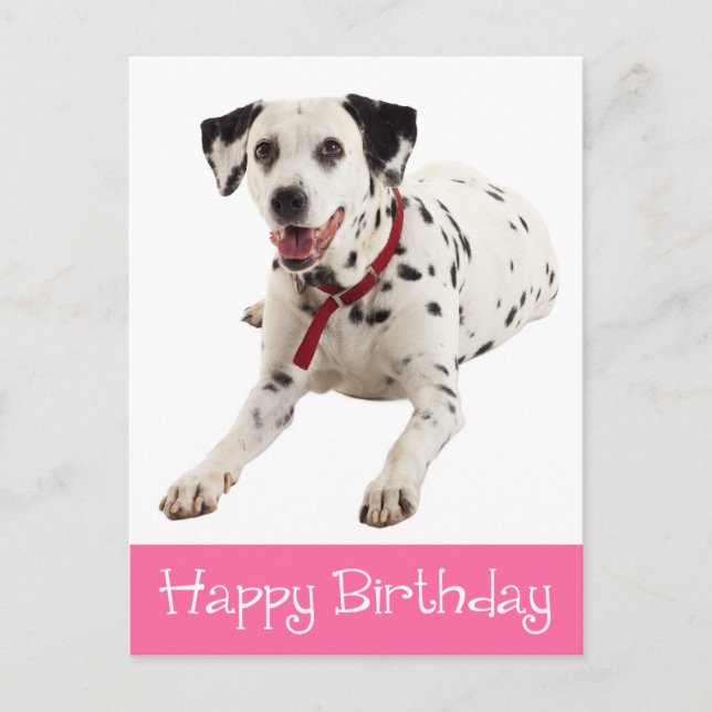 Happy Birthday Cute Dalmatian Puppy Dog Lover Postcard (Front)