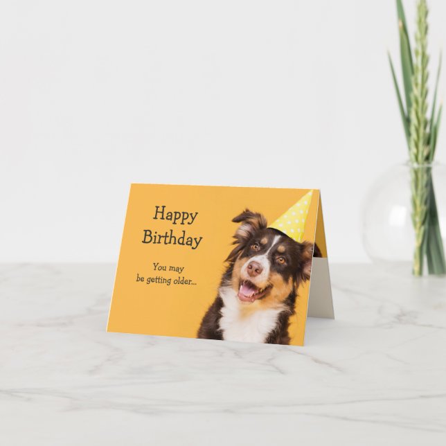 Happy Birthday Cute Dog Getting Older Fun quote Card (Front)