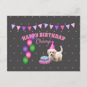 Happy Birthday  cute dog  with cake polka dots  Postcard