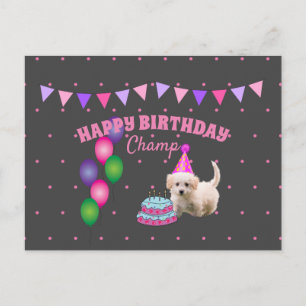 Happy Birthday cute dog with cake polka dots Postcard