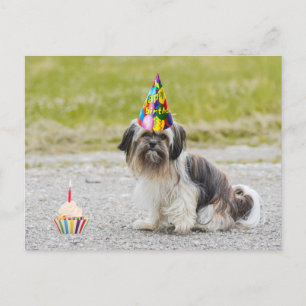 Happy Birthday Cute Dog with Cupcake Postcard