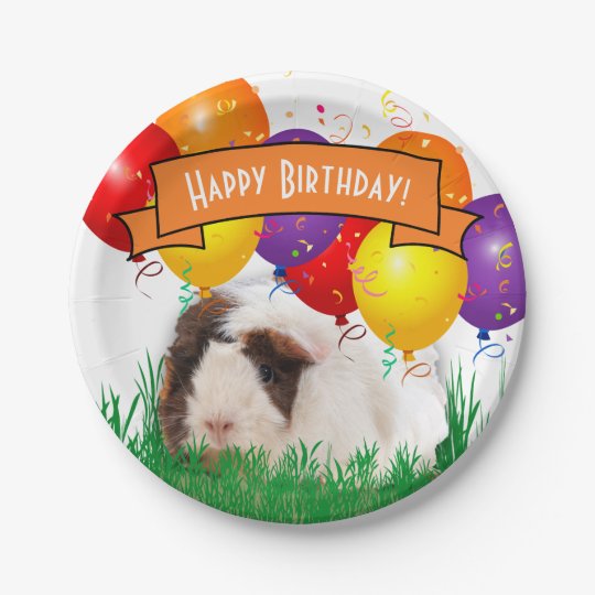 Happy Birthday Cute Guinea Pig Party Balloons Paper Plate Zazzle.co.uk