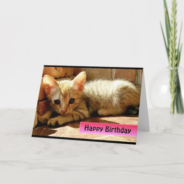 Happy Birthday Cute Little Kitten Card (Front)