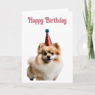 Happy Birthday Cute Pomeranian  Card