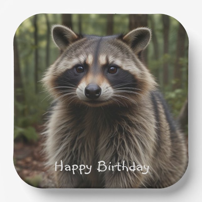 Happy Birthday Cute Racoon   Paper Plate (Front)