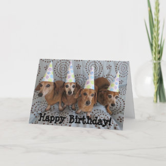 Happy Birthday Dachshund Greeting Card