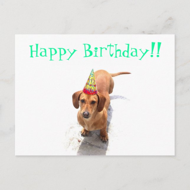 Happy Birthday Dachshund Postcard (Front)