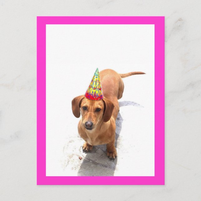 Happy Birthday Dachshund Postcard (Front)
