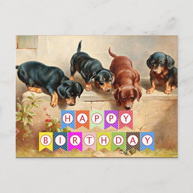 Happy Birthday, Dachshund puppies, Postcard (Front)