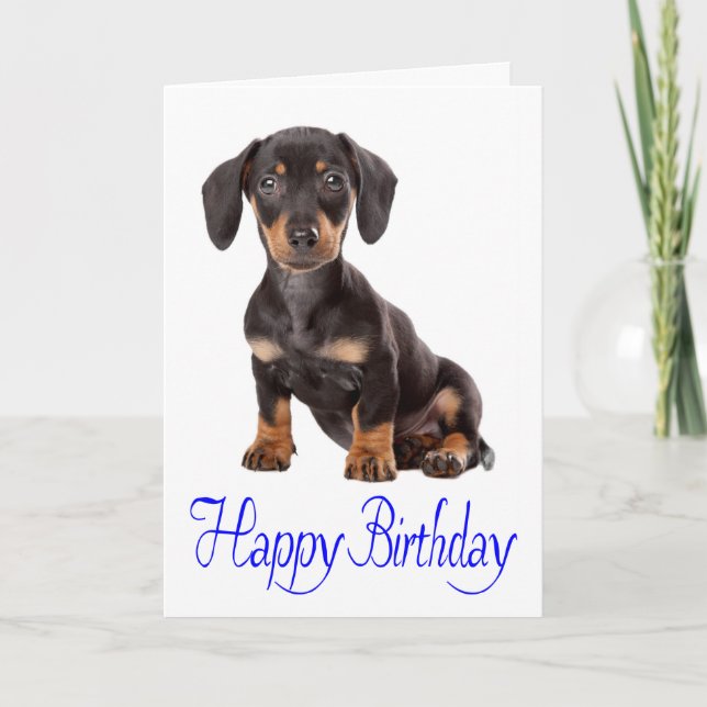 Happy Birthday Dachshund Puppy Dog Card (Front)