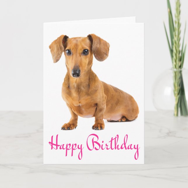 Happy Birthday Dachshund Puppy Dog Card (Front)