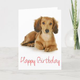 Happy Birthday Dachshund Puppy Dog Card