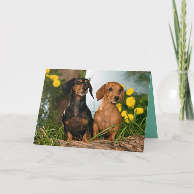 Happy Birthday Dachshund Puppy Dog Card (Front)