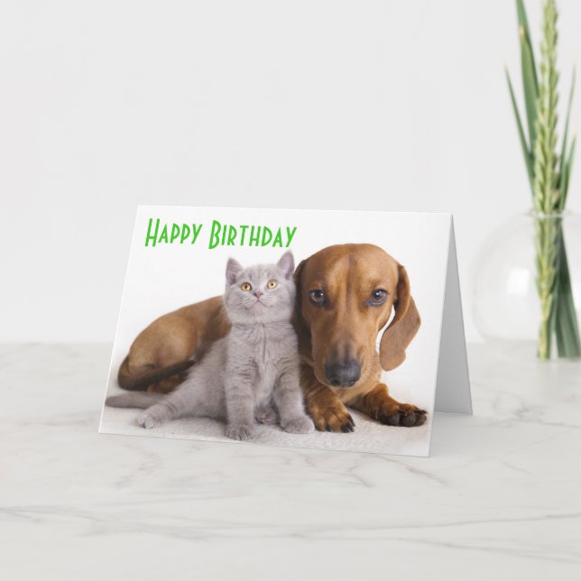 Happy Birthday Dachshund Puppy Dog Card (Front)