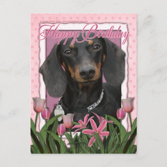 Happy Birthday - Dachshund - Winston Postcard (Front)