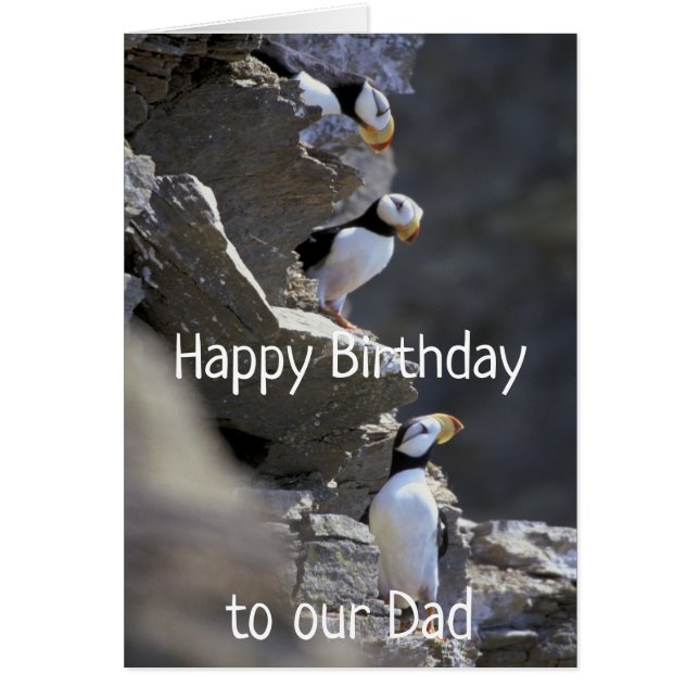 Happy Birthday Dad Cute Puffin Birds Animal Humour (Front)