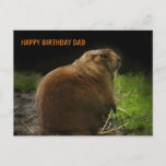 HAPPY BIRTHDAY DAD Woodchuck Groundhog Picture  Postcard<br><div class="desc">HAPPY BIRTHDAY DAD
With a real photo of a groundhog (or woodchuck).
Photo realism,  highest quality photography,  for the wildlife lover.
Easy to add your own touch to this image by clicking on the PERSONALIZE THIS TEMPLATE,  to add your own text to this item.</div>