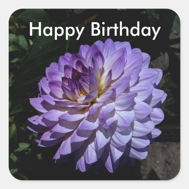 Happy Birthday Dahlia Bea Paradise #1 Stickers (Front)