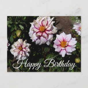 Happy Birthday Dahlia Edge of Joy #1 Postcard