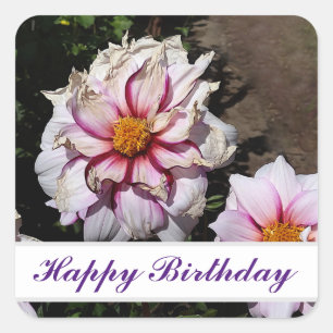Happy Birthday Dahlia Edge of Joy #1 Stickers